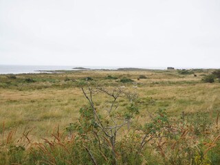 Ferienhaus Falkenberg (Schweden)  24