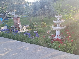 Appartamento Supetarska Draga  45