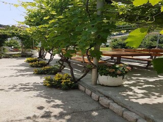 Appartamento Supetarska Draga  63