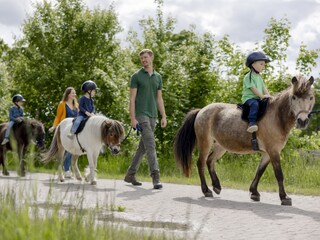 Ponyausritte jederzeit