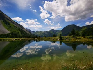 IMG_20200720_141538[1]