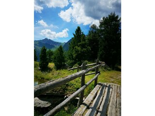 IMG_20200720_142028[1]