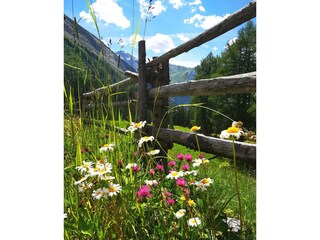 IMG_20200720_185412[1]