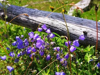 IMG_20200720_202404[1]