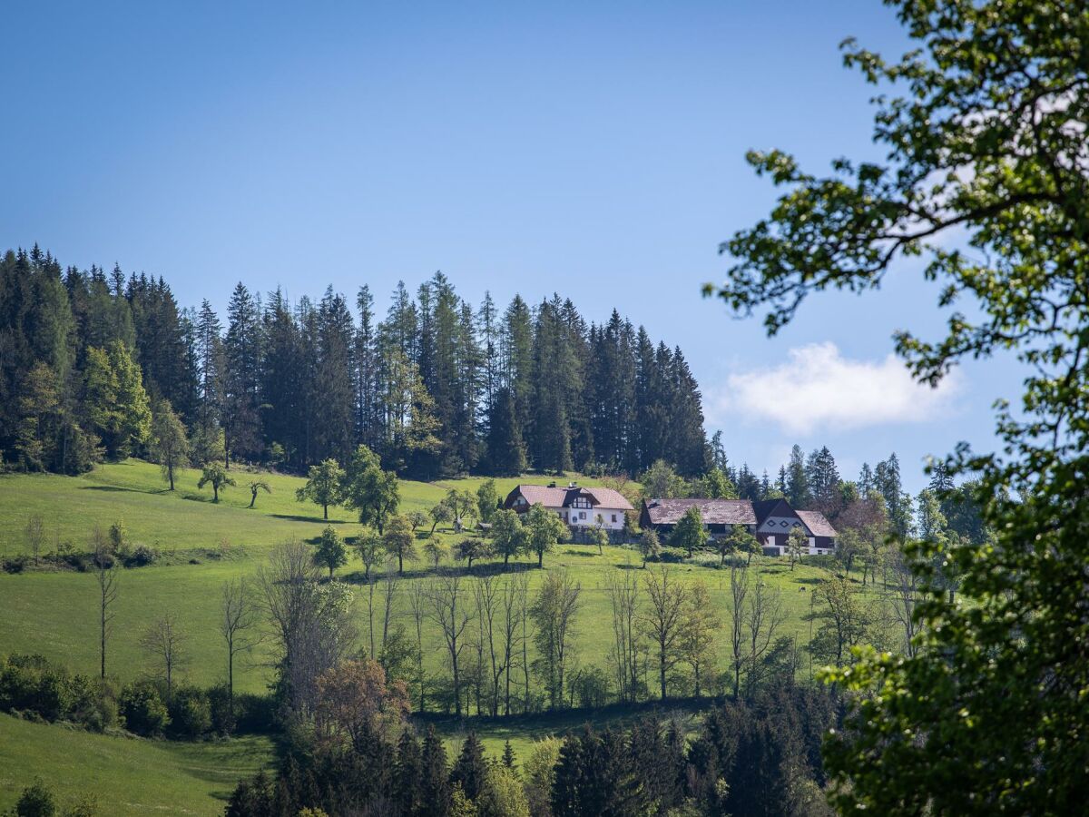 Apartment Pension Moosgierler