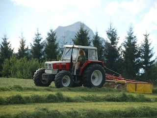Futterernte - Zeilen machen