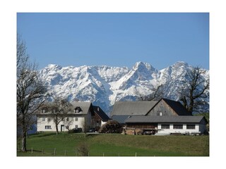 Hof im Frühling
