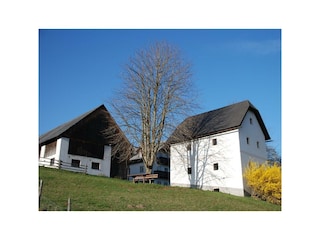 Hofzufahrt  im Frühling