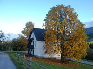 Unser Droatkasten im Herbst
