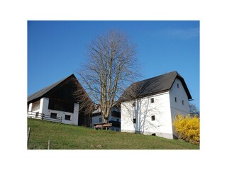 Hofzufahrt  im Frühling