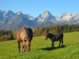 Steffi und Rudi