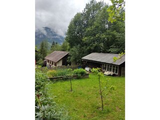 Blick in den Garten
