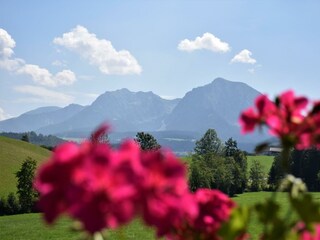 Ausblick vom Balkon