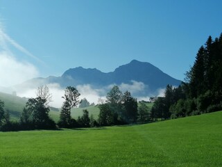 Ausblick