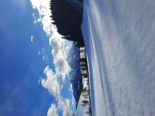 Ausblick
