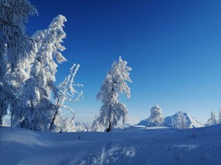 Winterlandschaft