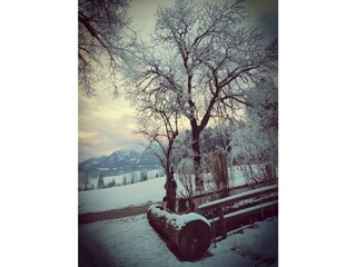 Brunnen im Winter