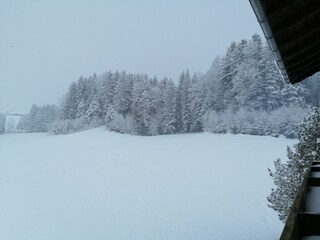 Ausblick vom Balkon - Schneegestöber