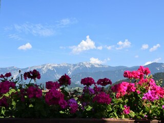 Ausblick vom Balkon