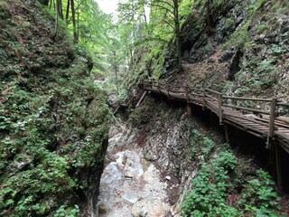 Wanderung Vogelgesangklamm