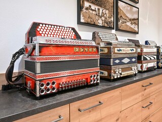 Steirische Harmonika
