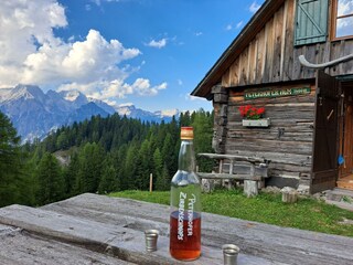 Auf 1400 Meter unsere Alm " Die Peterhoferalm "