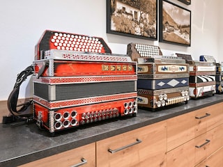 Steirische Harmonika