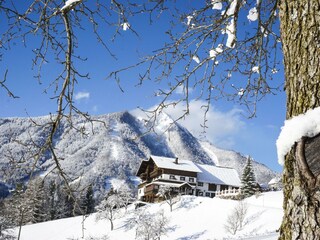 Sonnfeld im Winter