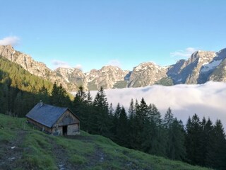 Peterhofer Alm