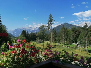 Balkonaussicht Zimmer Sonnenschein