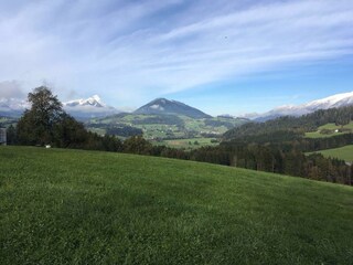 Herbst1