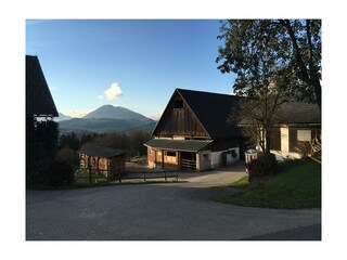 IMG_5646