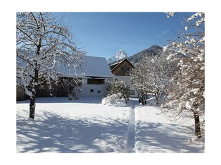 Im Garten vom Haus Grete, Hinterstoder