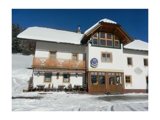 Moosgierler im Winter