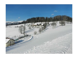 Panoramablick zum Moosgierler