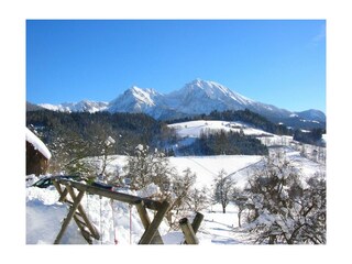 Gasthof-Pension Moosgierler Winterpanorama