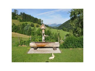 Hofbrunnen