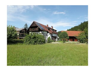 Wiese beim Haus Grete Wallner, Hinterstoder