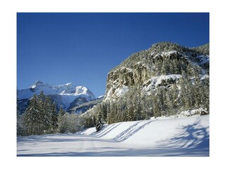 Haus Grete Wallner Winterlandschaft Polsterlucke