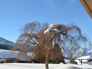 Winter Garten