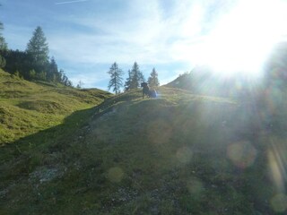 Hochkaseralm