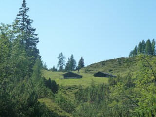 Hochkaseralm
