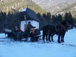 eine romantische Pferdeschlittenfahrt