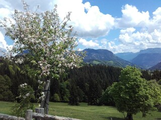 auf der Tannalm