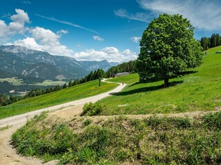 myNests-Kesslerhütte-Planai-Schladming-Dachstein-P