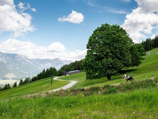 myNests-Kesslerhütte-Planai-Schladming-Dachstein-P