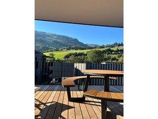 Glücksvogel (72)