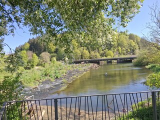 junge Donau bei uns um die Ecke