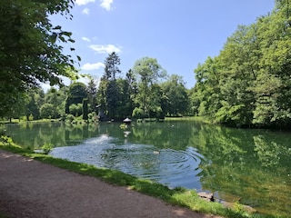 Schlosspark in Donaueschingen