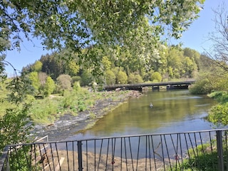 Donau in der Nähe